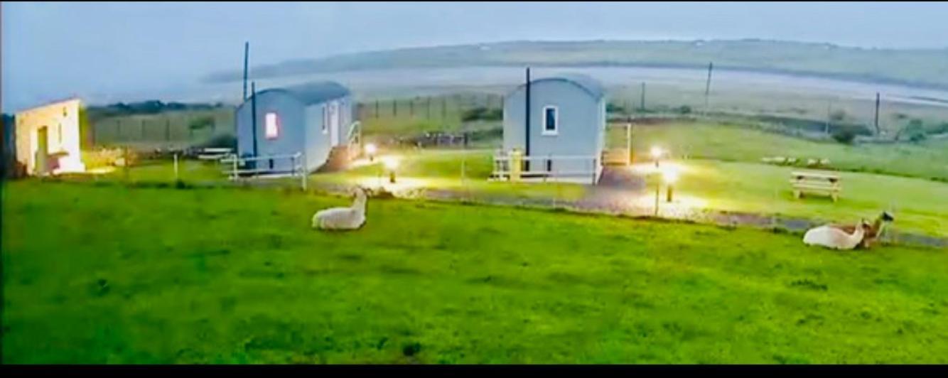 The Snuggly Sheep Shepherd Hut Farm Stay Ballyshannon Esterno foto